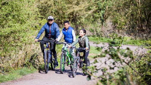 An adult and two children riding their bikes through a cycle path leading between dense hedgerows and woodland.
